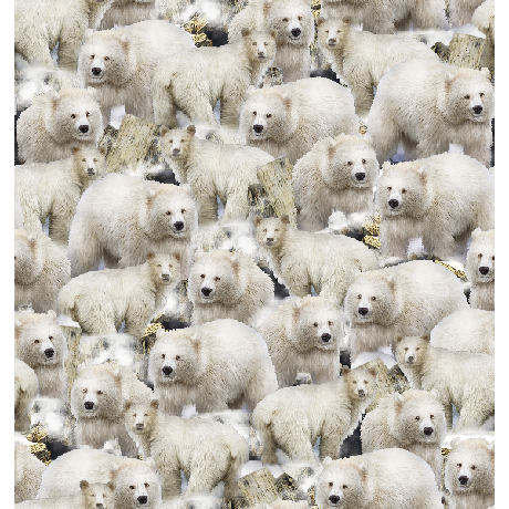 MINKY PRINTS             